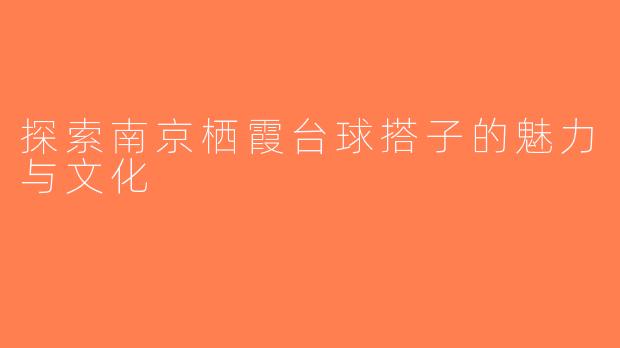 探索南京栖霞台球搭子的魅力与文化