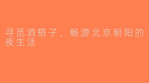 寻觅酒搭子，畅游北京朝阳的夜生活