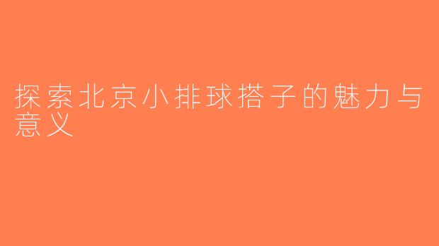 探索北京小排球搭子的魅力与意义
