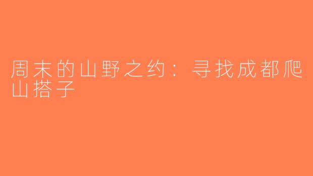 周末的山野之约：寻找成都爬山搭子