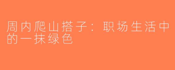 周内爬山搭子：职场生活中的一抹绿色
