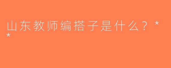 山东教师编搭子是什么？**