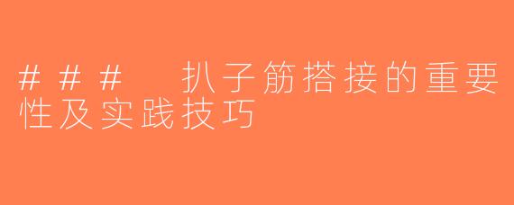 ### 扒子筋搭接的重要性及实践技巧