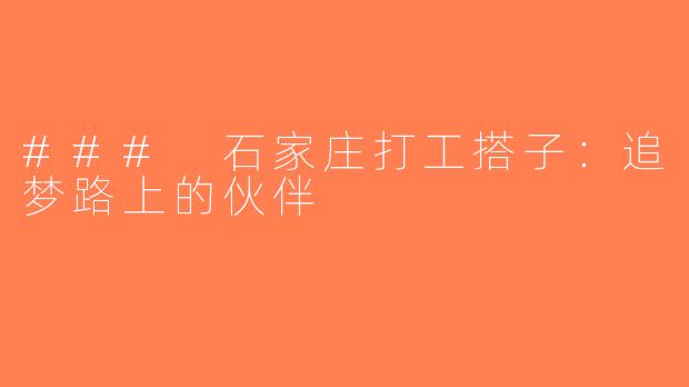 ### 石家庄打工搭子：追梦路上的伙伴