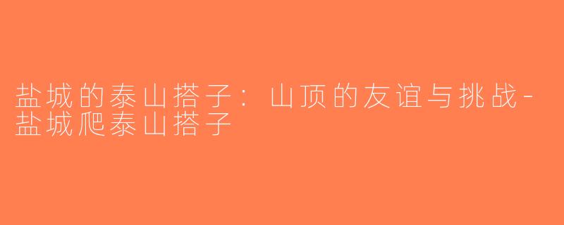 盐城的泰山搭子：山顶的友谊与挑战-盐城爬泰山搭子