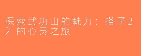 探索武功山的魅力：搭子22的心灵之旅