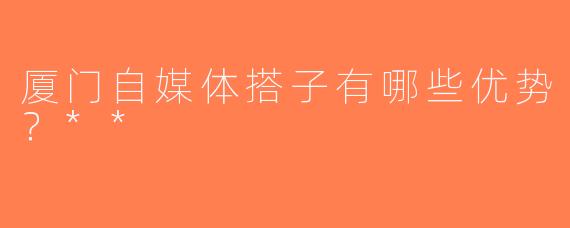 厦门自媒体搭子有哪些优势？**