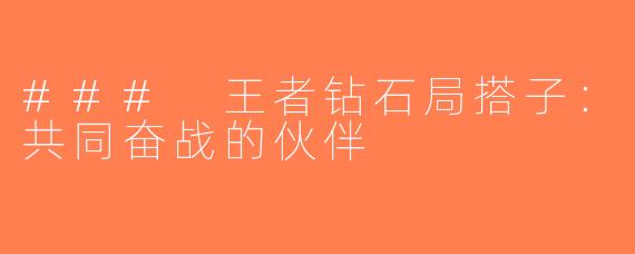 ### 王者钻石局搭子：共同奋战的伙伴