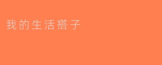 我的生活搭子