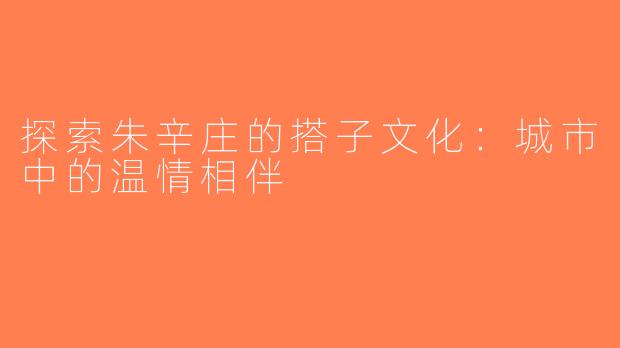 探索朱辛庄的搭子文化：城市中的温情相伴