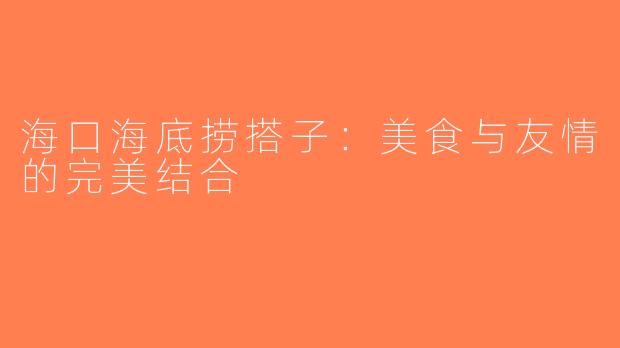海口海底捞搭子：美食与友情的完美结合