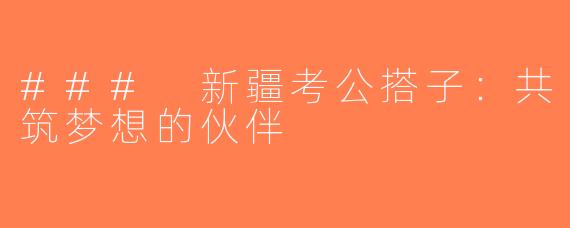 ### 新疆考公搭子：共筑梦想的伙伴
