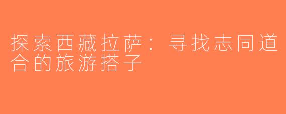 探索西藏拉萨：寻找志同道合的旅游搭子