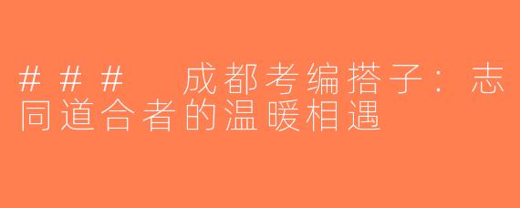 ### 成都考编搭子：志同道合者的温暖相遇