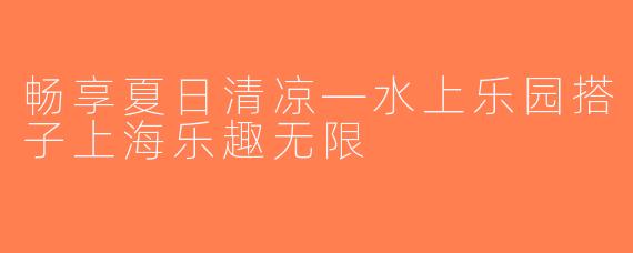 畅享夏日清凉—水上乐园搭子上海乐趣无限