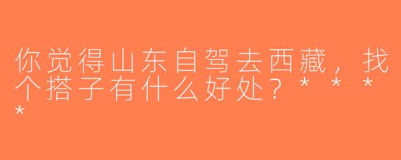 你觉得山东自驾去西藏，找个搭子有什么好处？****