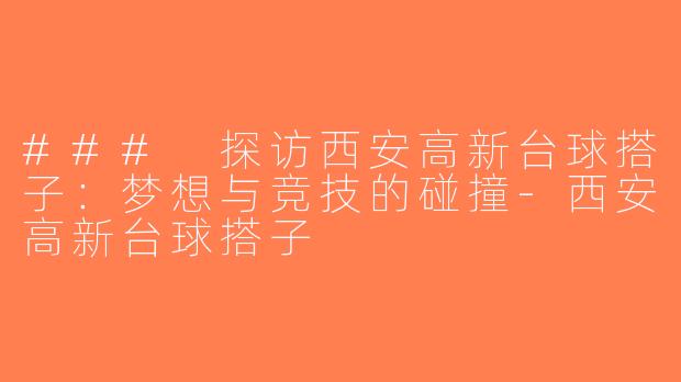 ### 探访西安高新台球搭子：梦想与竞技的碰撞-西安高新台球搭子