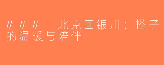 ### 北京回银川：搭子的温暖与陪伴