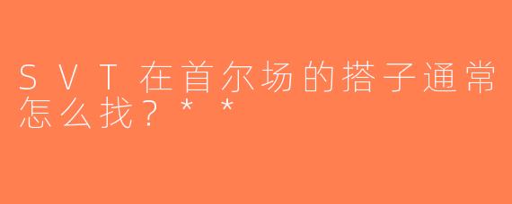 SVT在首尔场的搭子通常怎么找？**