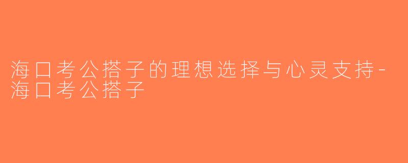 海口考公搭子的理想选择与心灵支持-海口考公搭子