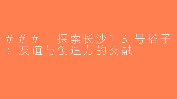 ### 探索长沙13号搭子：友谊与创造力的交融
