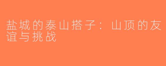 盐城的泰山搭子：山顶的友谊与挑战