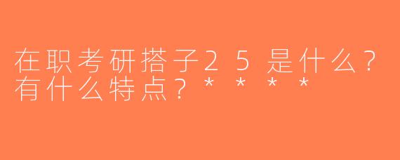 在职考研搭子25是什么？有什么特点？****