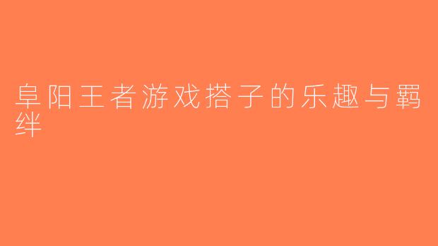 阜阳王者游戏搭子的乐趣与羁绊