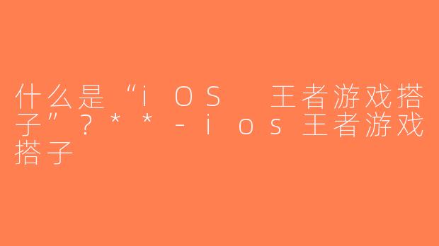 什么是“iOS 王者游戏搭子”？**-ios王者游戏搭子