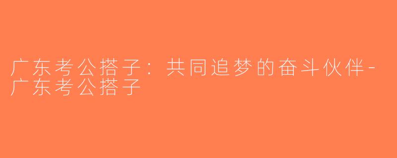 广东考公搭子：共同追梦的奋斗伙伴-广东考公搭子