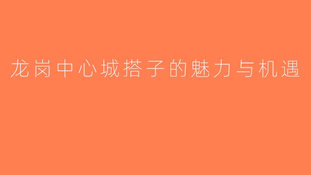 龙岗中心城搭子的魅力与机遇