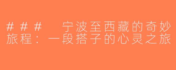 ### 宁波至西藏的奇妙旅程：一段搭子的心灵之旅