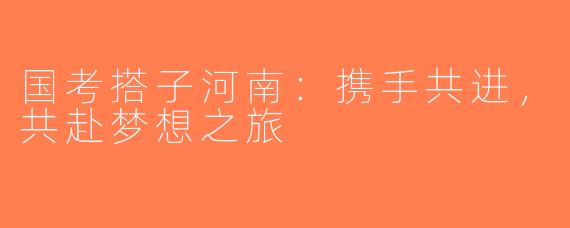 国考搭子河南：携手共进，共赴梦想之旅