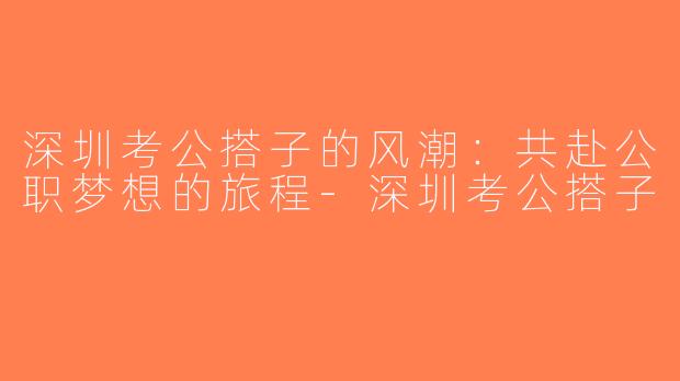 深圳考公搭子的风潮：共赴公职梦想的旅程-深圳考公搭子