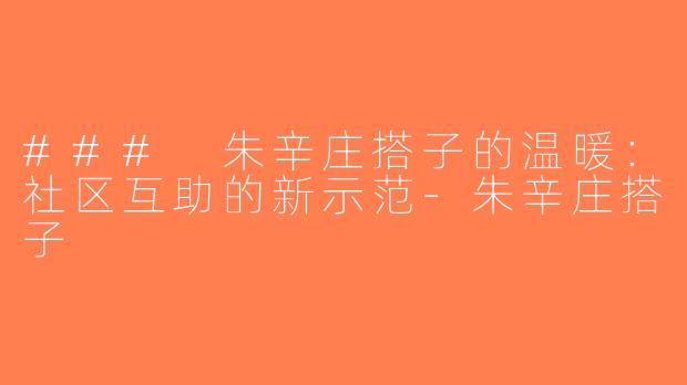 ### 朱辛庄搭子的温暖：社区互助的新示范-朱辛庄搭子