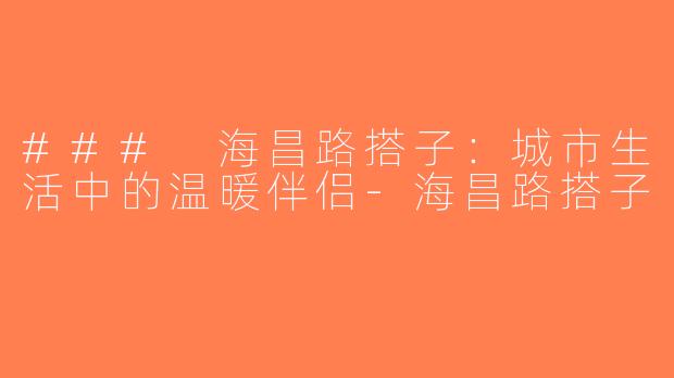 ### 海昌路搭子：城市生活中的温暖伴侣-海昌路搭子