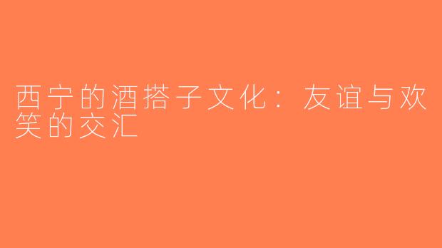 西宁的酒搭子文化：友谊与欢笑的交汇