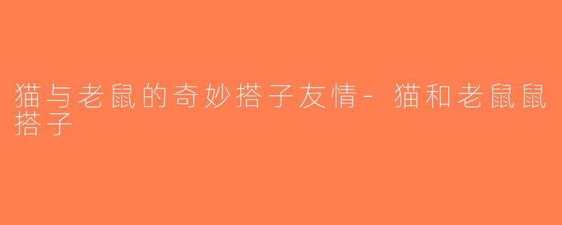 猫与老鼠的奇妙搭子友情-猫和老鼠鼠搭子