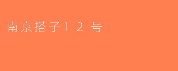 南京搭子12号