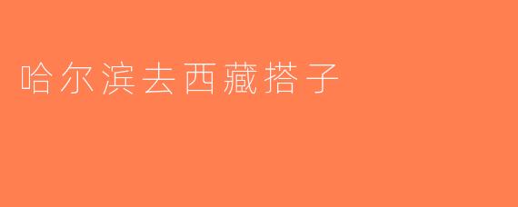 哈尔滨去西藏搭子