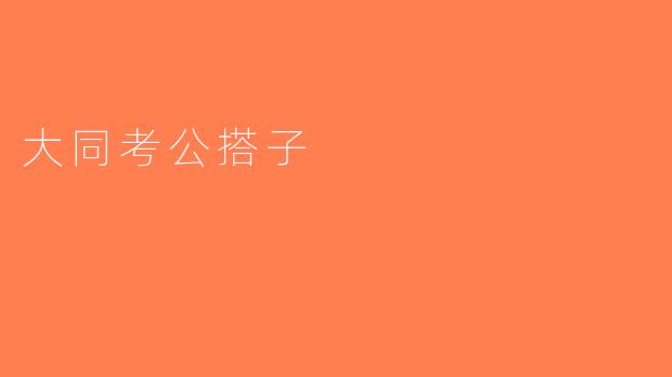 大同考公搭子