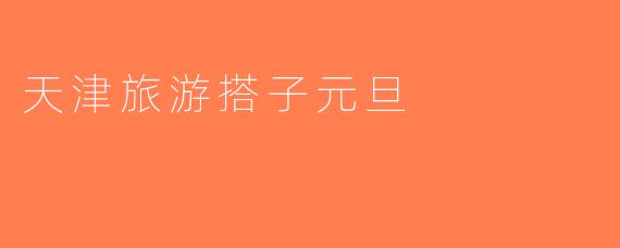 天津旅游搭子元旦