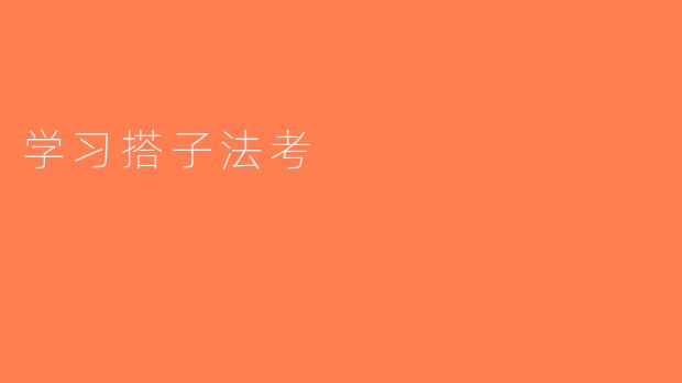 学习搭子法考