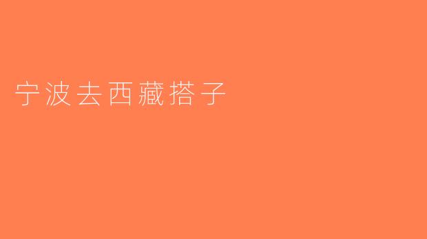 宁波去西藏搭子