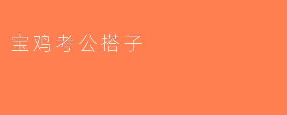 宝鸡考公搭子