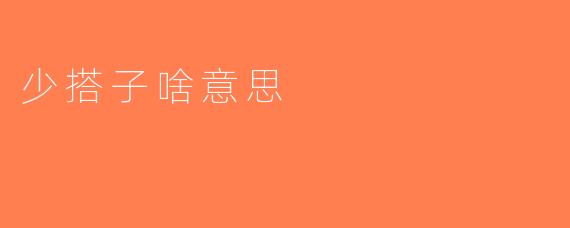 少搭子啥意思