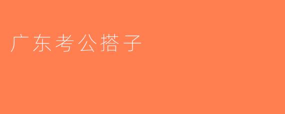 广东考公搭子