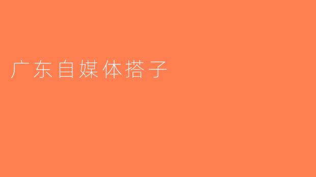 广东自媒体搭子