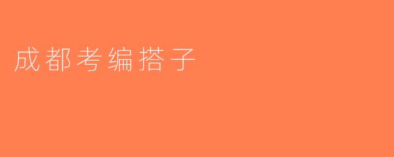 成都考编搭子