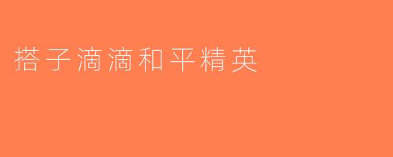 搭子滴滴和平精英